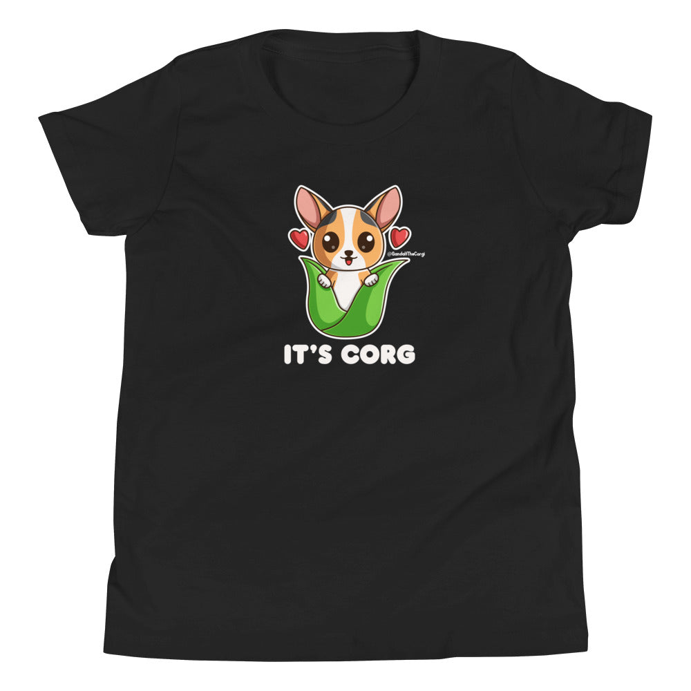 It's Corg! The Corgi Anthem - Light Font - Youth Short Sleeve T-Shirt