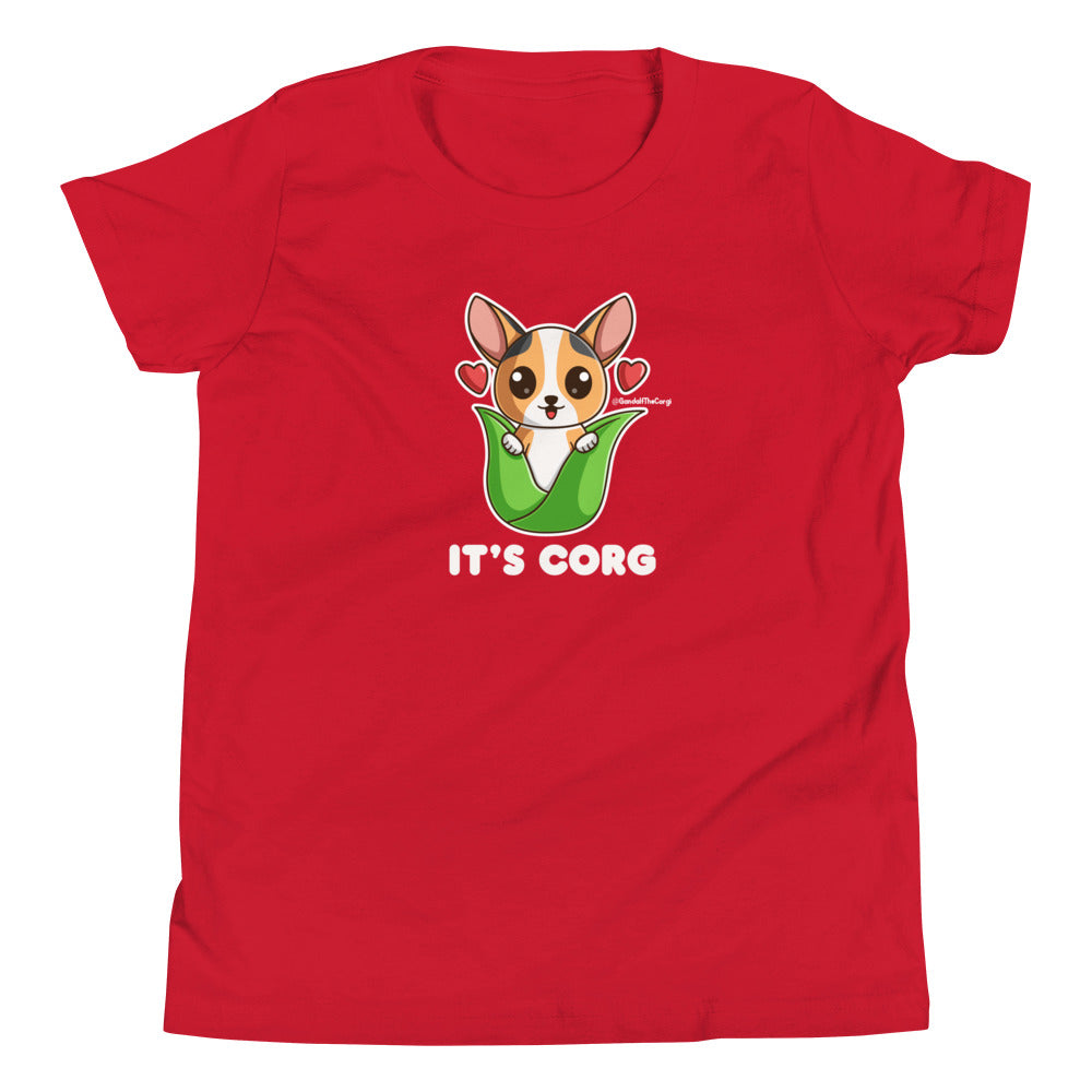 It's Corg! The Corgi Anthem - Light Font - Youth Short Sleeve T-Shirt