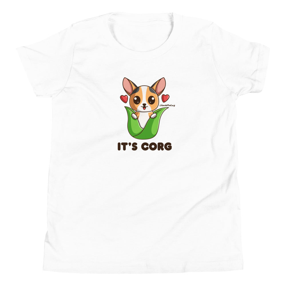 It's Corg! The Corgi Anthem - Dark Font - Youth Short Sleeve T-Shirt